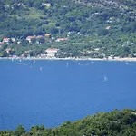 Segedin