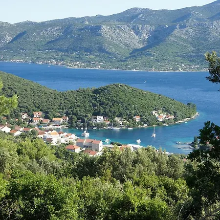 Segedin