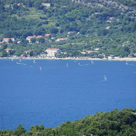 Segedin